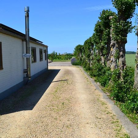 Vakantiehuis De Maretak Vlakbij Brugge & De Kust Meetkerke Exterior foto